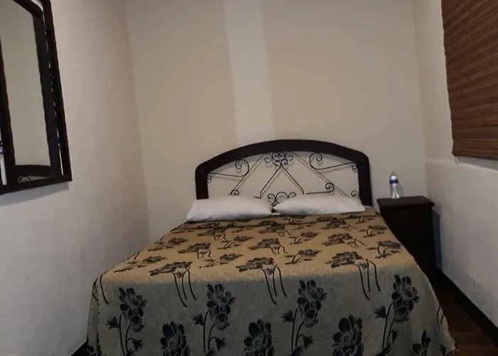 Niza 4* México DF
